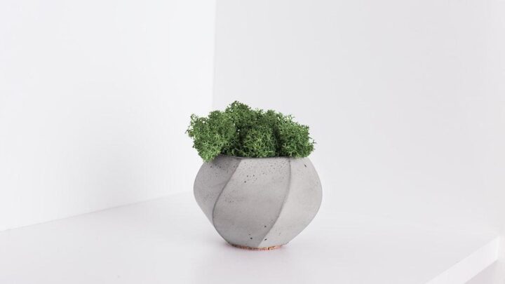 Les avantages de décorer votre salon avec des plantes artificielles